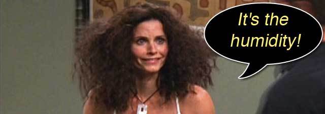An Episode of Friends: Is your hair ever like Monica's?